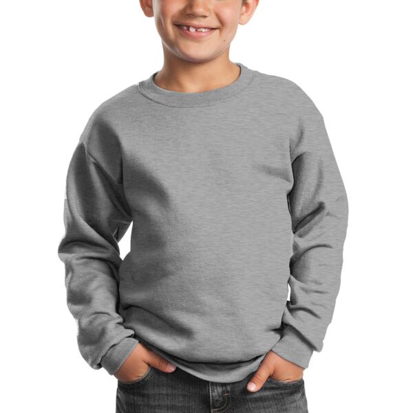 BFP - Youth Core Fleece Crewneck Sweatshirt Thumbnail